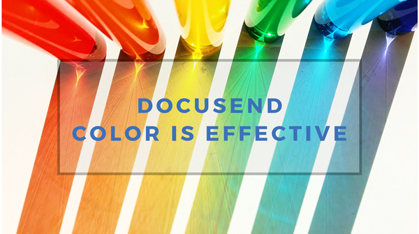 Professional B&W and Color Invoices